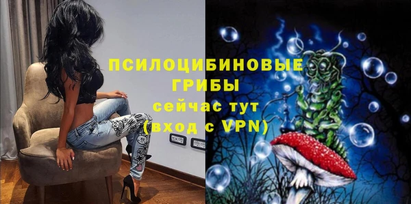 PSILOCYBIN Алзамай
