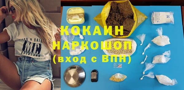 PSILOCYBIN Алзамай