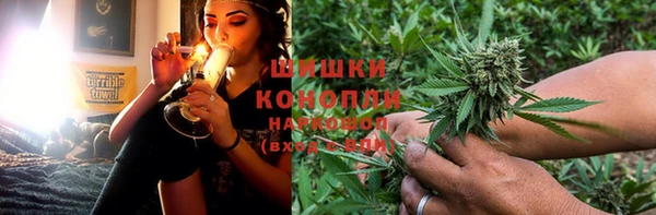 прущие грибы Михайловка